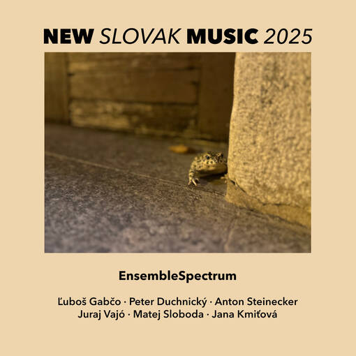 Nová slovenská hudba 11/11/25